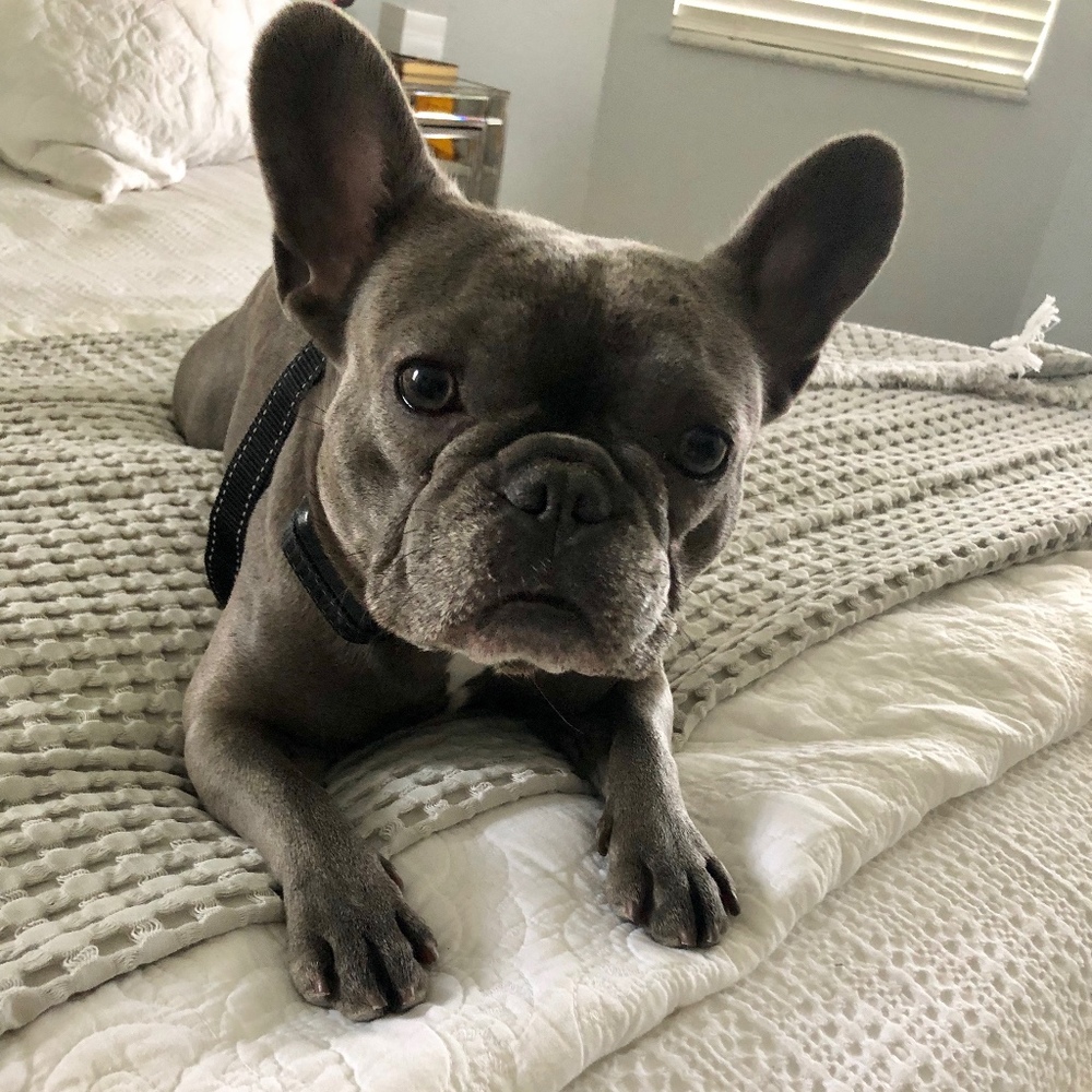 Meet your Posher, Cruze